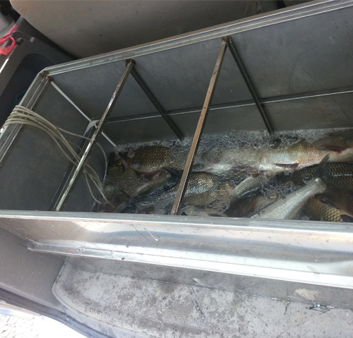 桐梓厨房设备加工